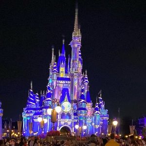 Meet your Posher, Molly